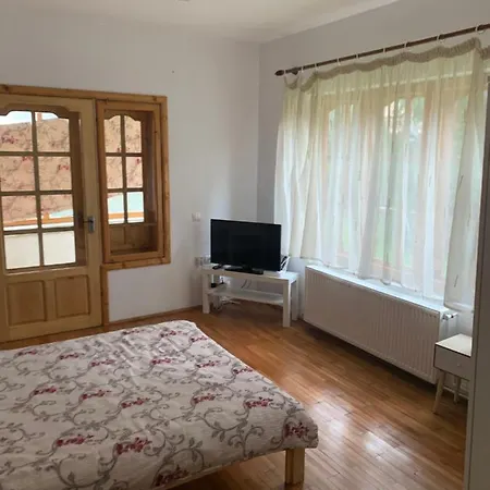 Dora, Locatie Superba Strada Grivitei 36 펜션 부스테니