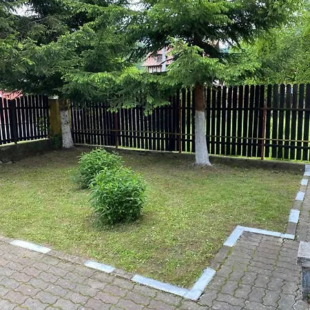 Dora, Locatie Superba Strada Grivitei 36 펜션 *